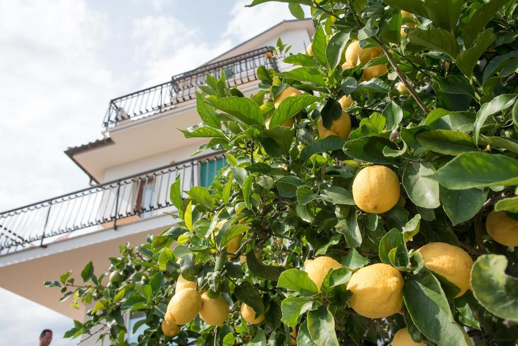 Residence Oleandro Pietra Ligure Exterior foto